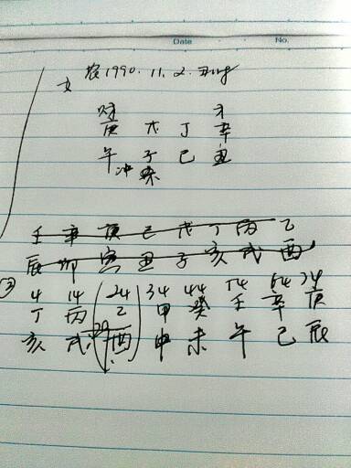 八字有戊子运