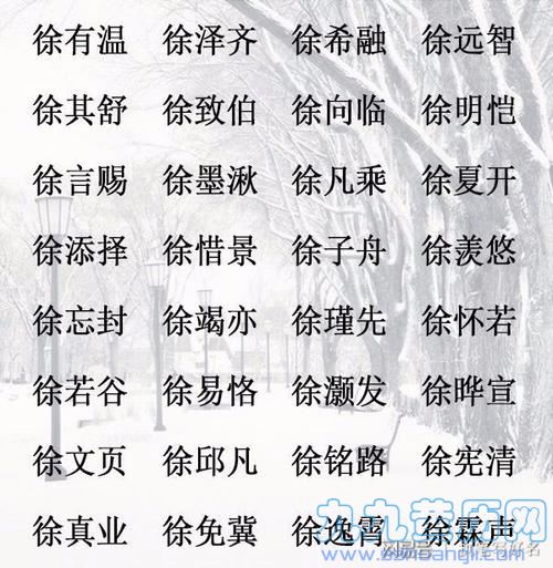 给姓徐的宝宝取名字大全 徐谐音取名